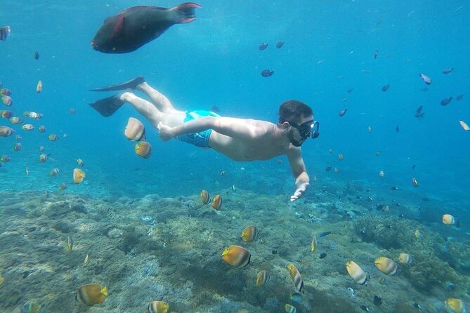 Bali Nusa Penida and Private Snorkeling (Manta Bay, Gamat, Wall) - Guides and flow: why the handoffs matter