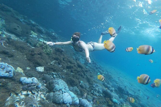 Bali Nusa Penida and Private Snorkeling (Manta Bay, Gamat, Wall) - Water conditions: rough seas, jellyfish, and currents