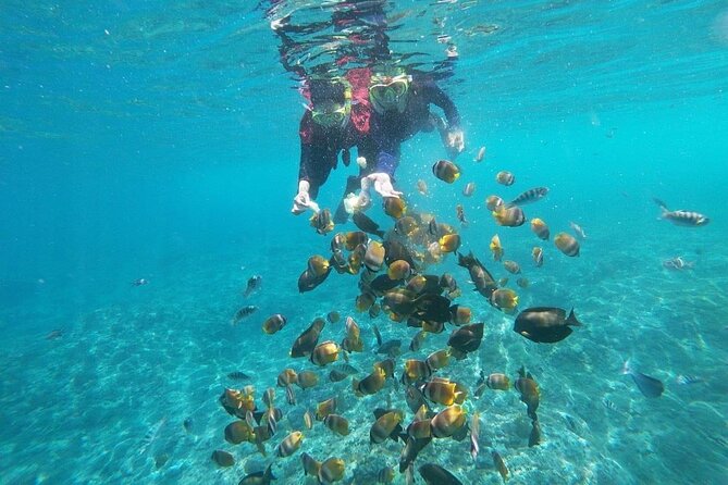Bali Nusa Penida and Private Snorkeling (Manta Bay, Gamat, Wall) - Who should book this Nusa Penida snorkeling day