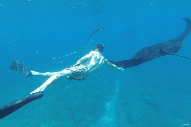 Bali Nusa Penida and Private Snorkeling (Manta Bay, Gamat, Wall) - Snorkeling plan: Manta Bay, Gamat Bay, Wall Bay Point