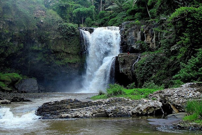 Bali Private Car Charter With English Speaking Driver - Picking Your Time: 8:30 Pickup and Smart Scheduling