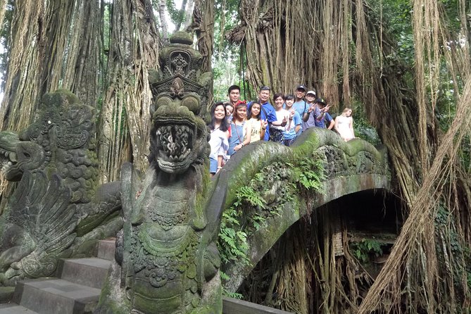Bali Private Car Charter with English Speaking Driver Or Guide - Rice Terraces: When You Want the View and the Meaning