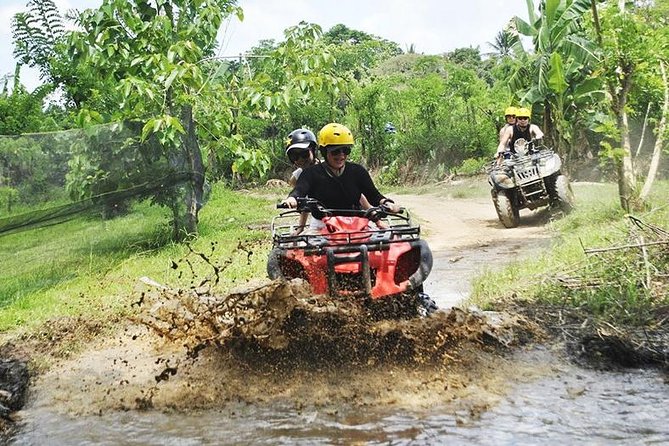 Bali Quad Bike Through Gorilla Cave - Monkey Forest and Waterfall - ATV Riding at Alasan Adventures: First-Time Friendly, But Expect Mud