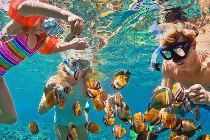 Bali Snorkeling at Blue Lagoon with Transport and Lunch - Key points to know before you go