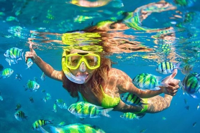 Bali Snorkeling at Blue Lagoon with Transport and Lunch - Blue Lagoon and Tanjung Jepun: Why this Padangbai setup works