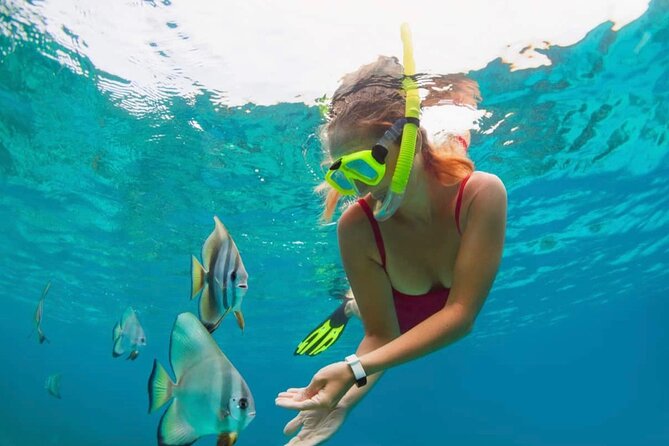 Bali Snorkeling at Blue Lagoon with Transport and Lunch - Getting picked up (and dropped off) without the taxi shuffle