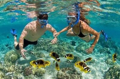 Bali Snorkeling at Blue Lagoon with Transport and Lunch - Price and Logistics: what $48 buys you in real life