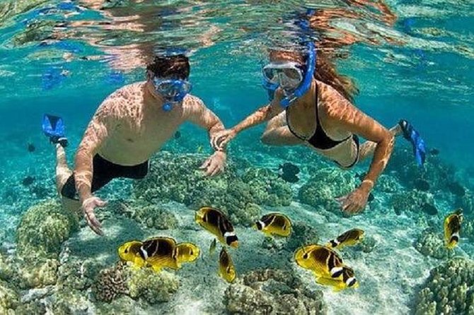 Bali Snorkeling at Blue Lagoon with Transport and Lunch - Price and Logistics: what $48 buys you in real life
