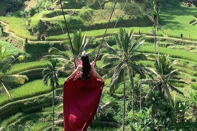 Bali Ubud Tour Monkey Forest, Waterfall, Temple & Rice Terrace - Ubud in one day: monkeys, waterfall, temples, and rice