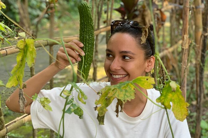 Balinese Authentic Cooking Class in Ubud - Price and Value: Why $39.71 Makes Sense Here