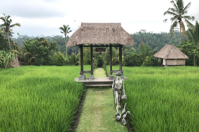 Balinese Life Style Tour - Kintamani and Mount Batur View: When the Weather Plays Nice