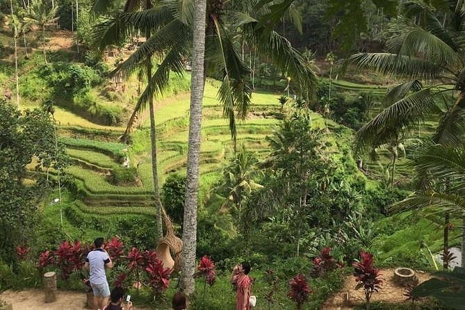 Balinese Life Style Tour - Segara Windhu Coffee Plantation Stop: Taste, Ask, Decide