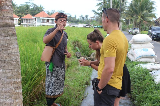 Balinese Ubud cooking school (9 Dish Cooking and Market Tour) - Rice fields and Balinese food culture: the context piece