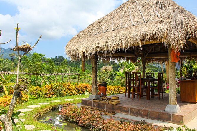 Balinese Vegan Cooking Class with Fresh Harvesting & Garden Tour - Who this Balinese vegan cooking class suits best