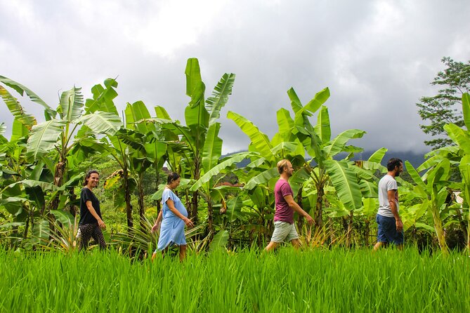 Balinese Vegan Cooking Class with Fresh Harvesting & Garden Tour - Harvesting your vegan ingredients: garden tour first