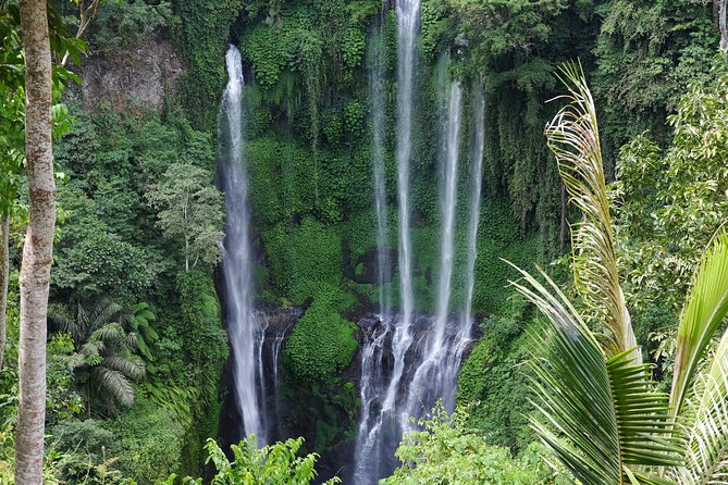 Banyuwana & Banyumala Waterfalls Tour Private - All-Inclusive - Banyumala Twin Waterfalls: tropical paths and banana shade