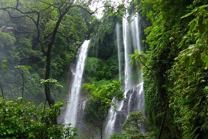 Banyuwana & Banyumala Waterfalls Tour Private - All-Inclusive - Coffee plantation and volcano/rice-terrace photo time