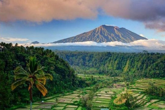 Best bali transport service - custom your own itinerary - Key things that make this Bali transport worth it