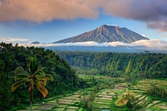 Best bali transport service - custom your own itinerary - Food is on you: planning around that missing piece