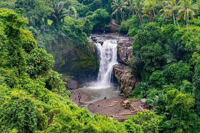 Best of Authentic Balinese Tour - Why this Ubud day plan works so well