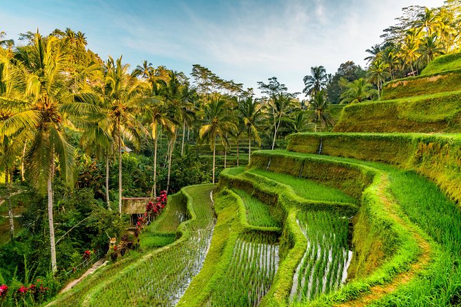 Best of Authentic Balinese Tour - Optional upgrade: Ubud Monkey Forest or Kintamani and Mt. Batur