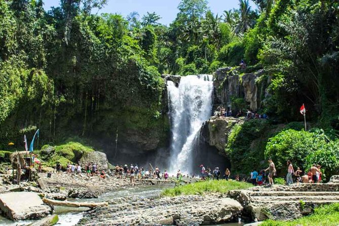Best of Authentic Balinese Tour - Tegalalang Rice Terrace and the subak irrigation system