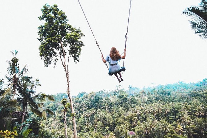 Best of Ubud Full-Day Tour with Jungle Swing - Hotel Pickup, a Private Minivan, and the Reality of Ubud Timing