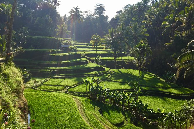 Best of Ubud Waterfalls, Tegalalang Rice Terrace and Swing Tour - Tukad Cepung Waterfall: Light Effects Inside a Clifftop Setting