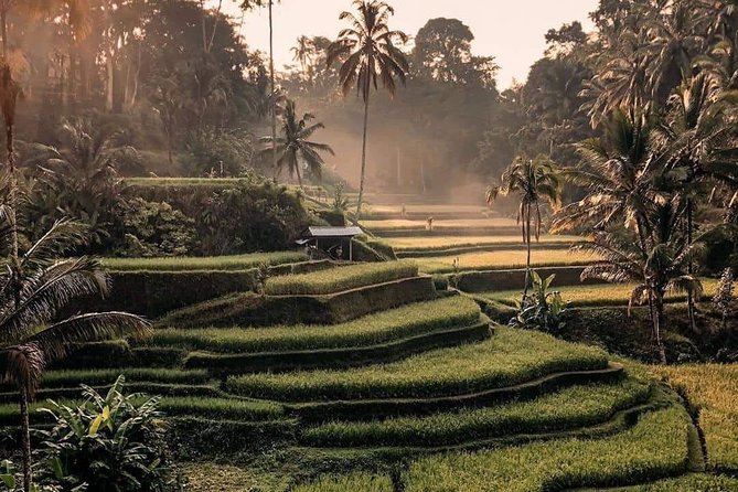 Best of Ubud Waterfalls, Tegalalang Rice Terrace and Swing Tour - Kanto Lampo Waterfall: Stepped Rocks and Fast Access