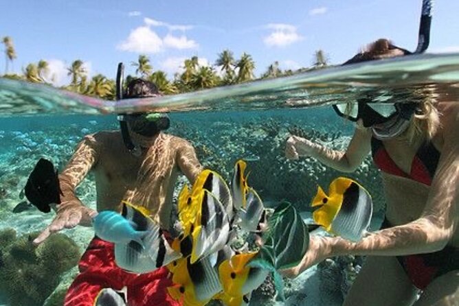Blue Lagoon Snorkeling - Lunch - Kantolampo - Tibumana Waterfall - Rice paddies and extra stops: what you should expect from your guide