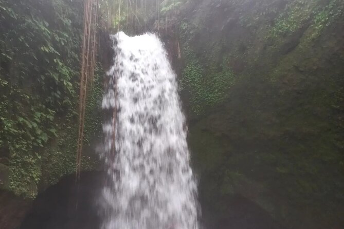 CRETYA Ubud infinity Pool + Hidden Water fall + Water Temple Tour - How the 8–10 Hour Timing Works (and Where It Can Feel Long)