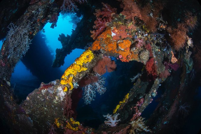 Day Trip certified divers - 3 Dives in Tulamben (pick-up & drop-off included) - Between sessions: Tulamben Bay downtime that feels like a real break