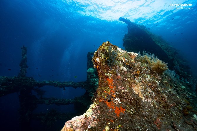 Day Trip certified divers - 3 Dives in Tulamben (pick-up & drop-off included) - Who this trip is best for (and who should skip it)
