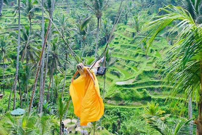 Discover The Best of Ubud: All-Inclusive and Private Guided Tour - Why This Ubud Highlights Loop Works So Well