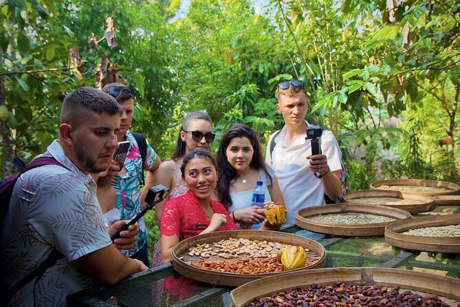Discover The Best of Ubud: All-Inclusive and Private Guided Tour - Ulu Petanu Waterfall in Kedisan: Fewer Steps, More Time to Breathe
