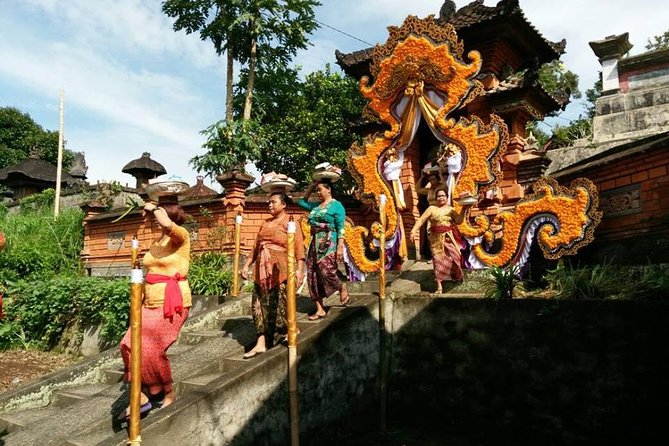 Electric Cycling Tour of Ubud with Free Hotel Transfer and Lunch - Tegalalang Rice Terrace Stop: The Photo Moment (and the Reason to Come)