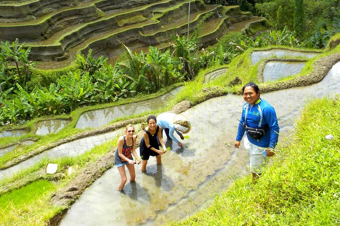 Electric Cycling Tour of Ubud with Free Hotel Transfer and Lunch - Price and Value: What $41 Gets You (and What Makes It Fair)