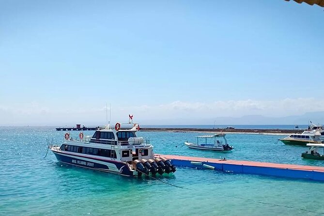 Fast Boat Transfer: Sanur to Nusa Penida by Penidago - Timing Glitches: Delays, Weather, and How to React