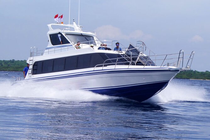 Fast Boat Transfer: Sanur to Nusa Penida by Penidago - The Real Deal on Check-In: Meeting Point and Timing