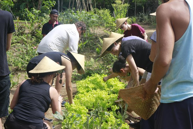 From Ubud: Authentic Bali Farm Cooking School & Organic Farm - The Take-Home Recipe Book (Print and PDF)