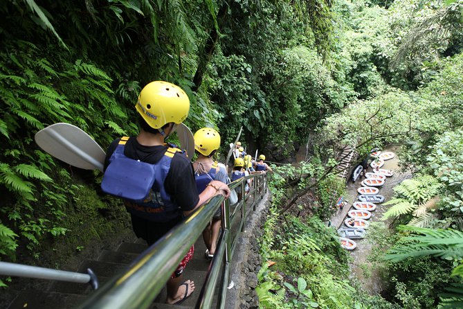 Full-Day Ayung River White Water Rafting and Ubud Tour - Sacred Monkey Forest Sanctuary: wild macaques, real rules