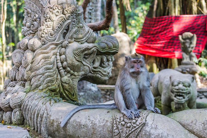Full-Day Ayung River White Water Rafting and Ubud Tour - Ubud Art Market: quick shopping without the stress