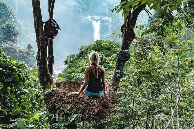 Full-Day in Bali: Private Design-Your-Own Tour - Highlands, ridge walks, and “cooler air” scenery