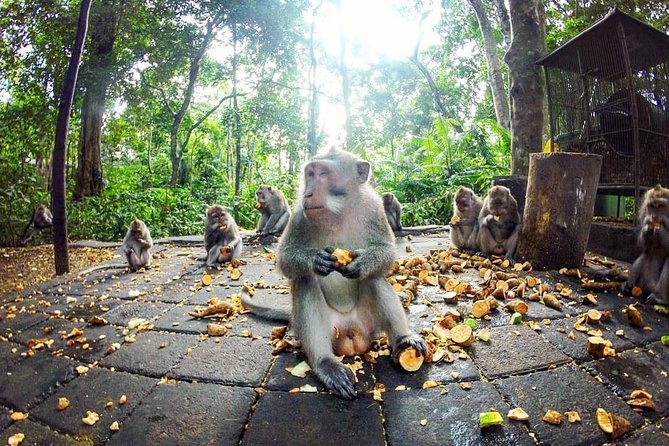 Full-Day in Bali: Private Design-Your-Own Tour - Fun stops that add personality: coffee, elephants, and swings
