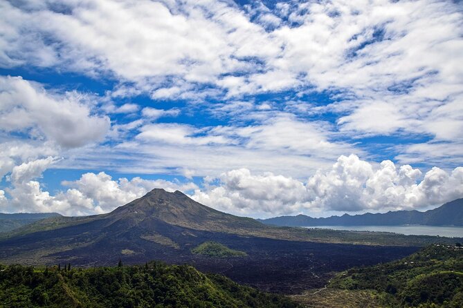 Full Day Kintamani Volcano View and Ubud Village Tour - Quick take: what makes this day tour worth your time