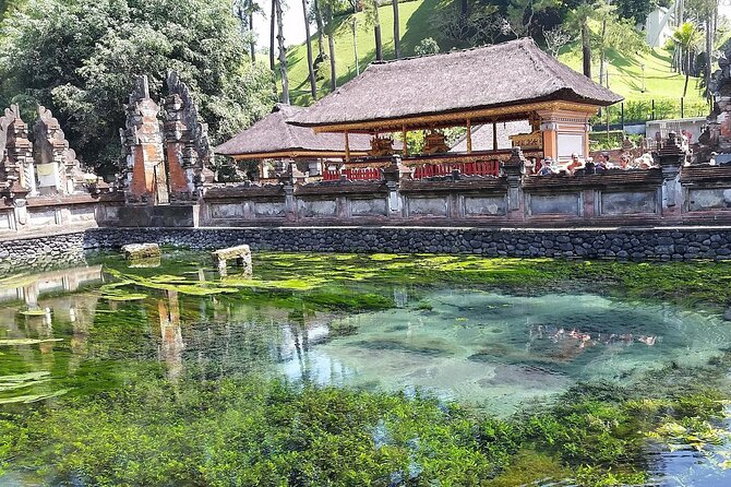 Full Day Kintamani Volcano View and Ubud Village Tour - Celuk craft village: gold and silver shopping without losing your mind