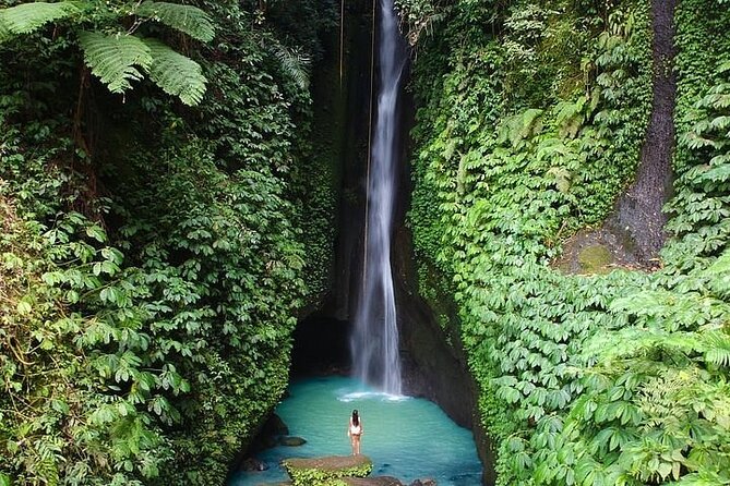 Full-Day Tour to Water Temples and UNESCO Rice Terraces in Bali - Price and Value: Why $39 Can Make Sense