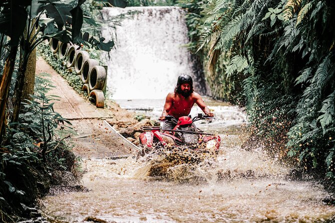 Gorilla Cave ATV Bali Ubud, Monkey Forest, Temple, and Lunch - Price and value: what you’re really paying for at about $75