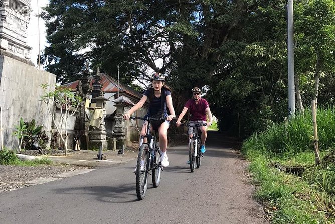 Half Day Cycling Tour ( Manual Bike ) - Abuan Balinese house visit: where the cultural part becomes real
