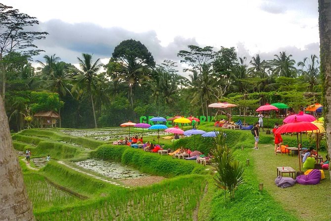 Half Day Cycling Tour ( Manual Bike ) - Taro Village Experience and coffee in the palm gardens